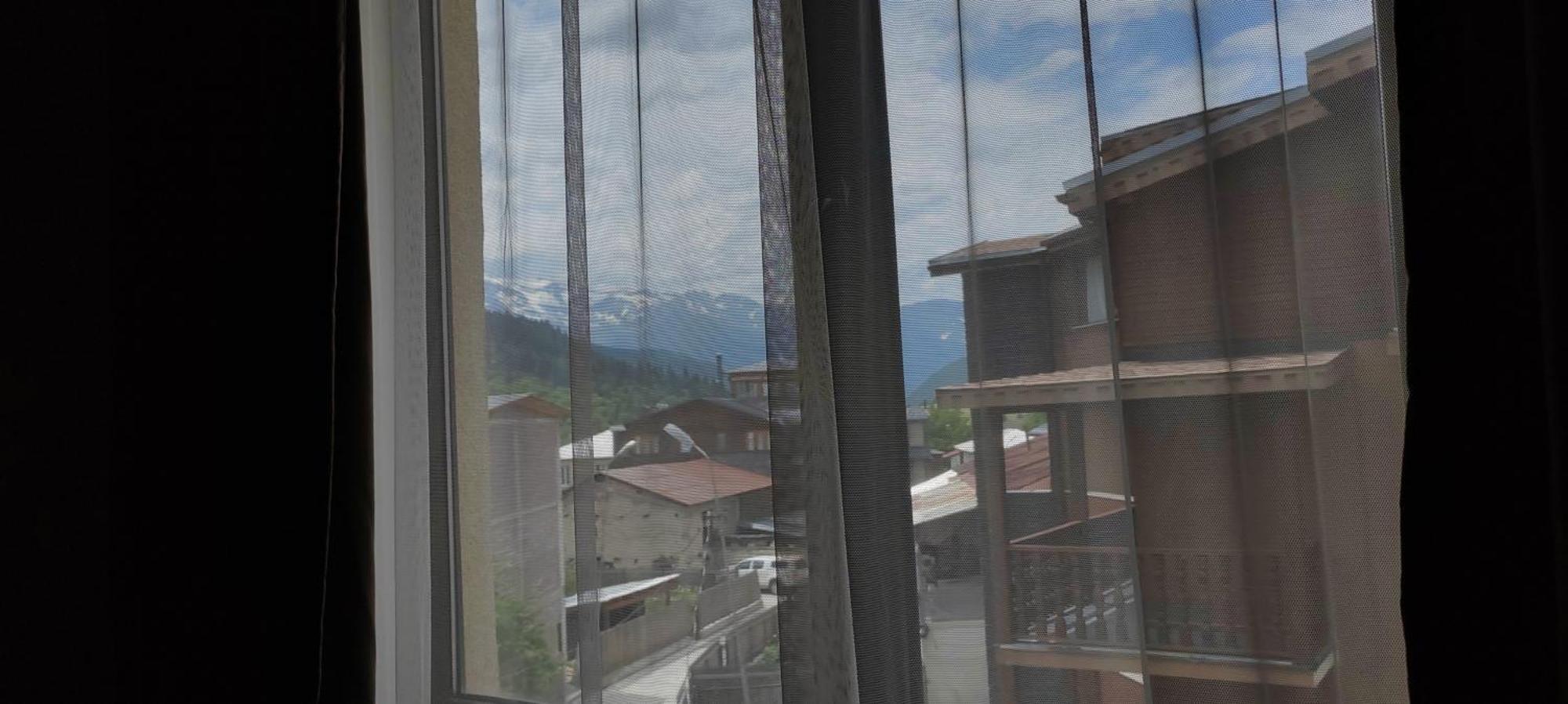Hotel Svanseti メスティア エクステリア 写真