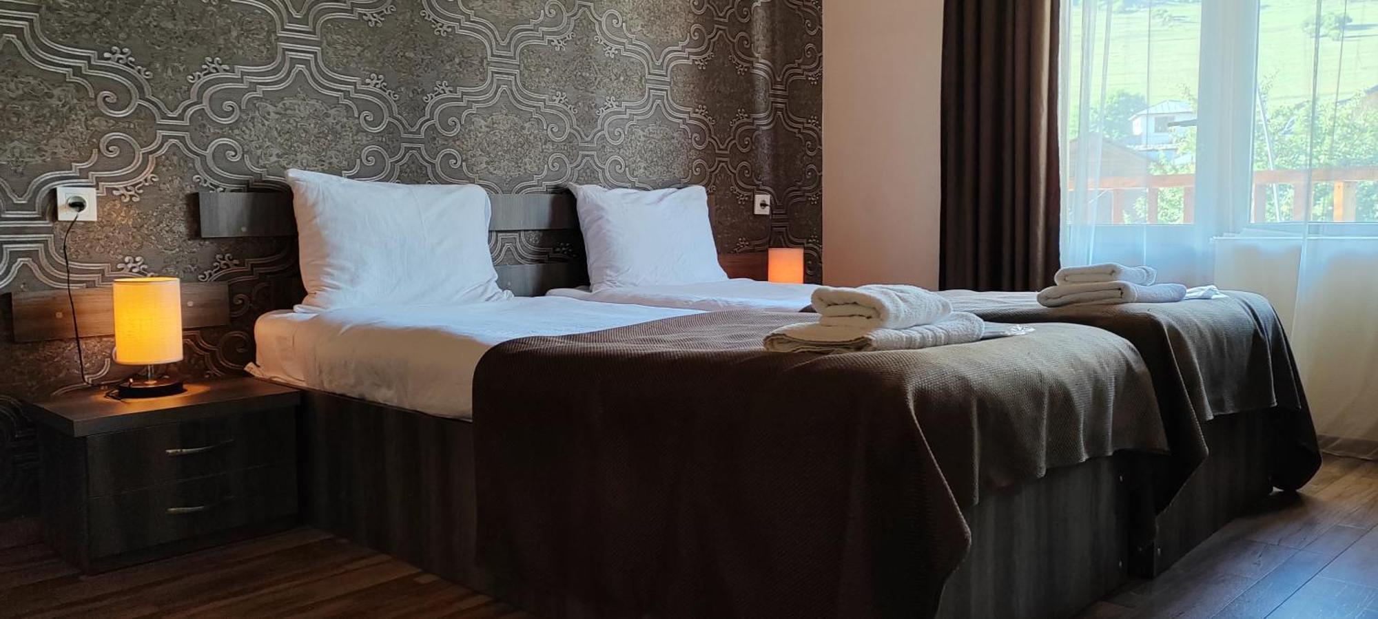 Hotel Svanseti メスティア エクステリア 写真