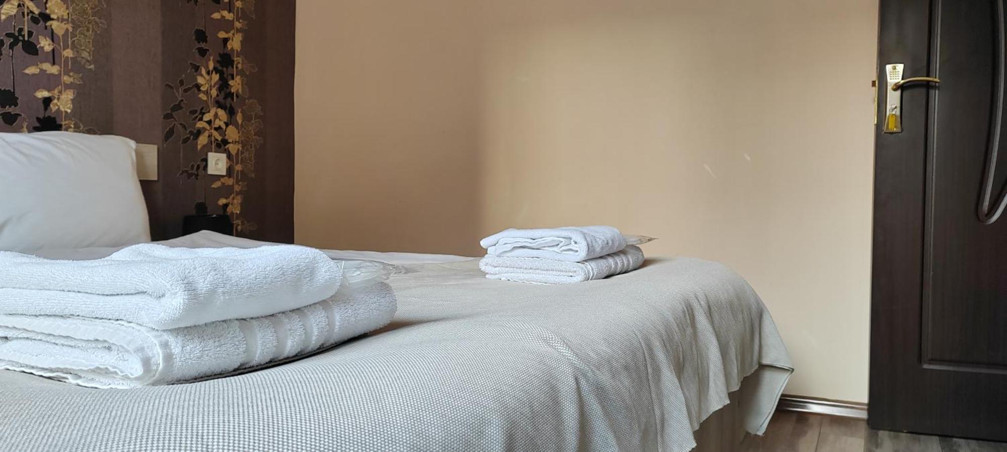 Hotel Svanseti メスティア エクステリア 写真