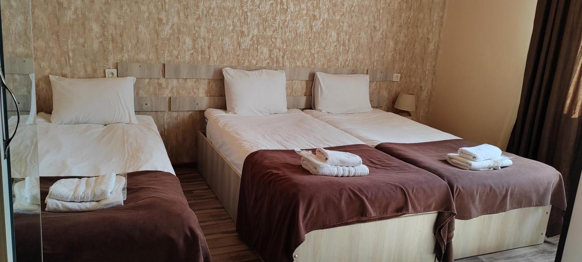 Hotel Svanseti メスティア エクステリア 写真