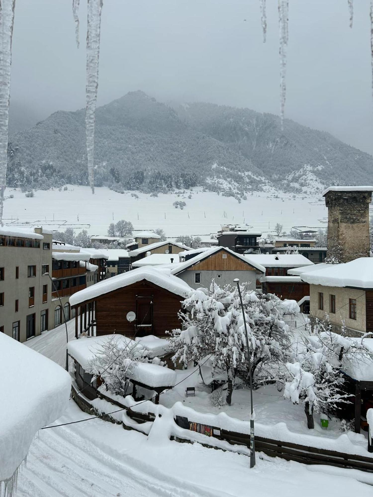 Hotel Svanseti メスティア エクステリア 写真